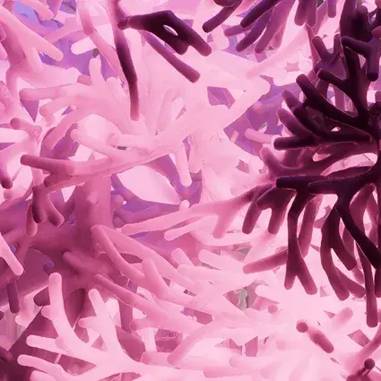 EngBeat: Thriving with mainframe modernization